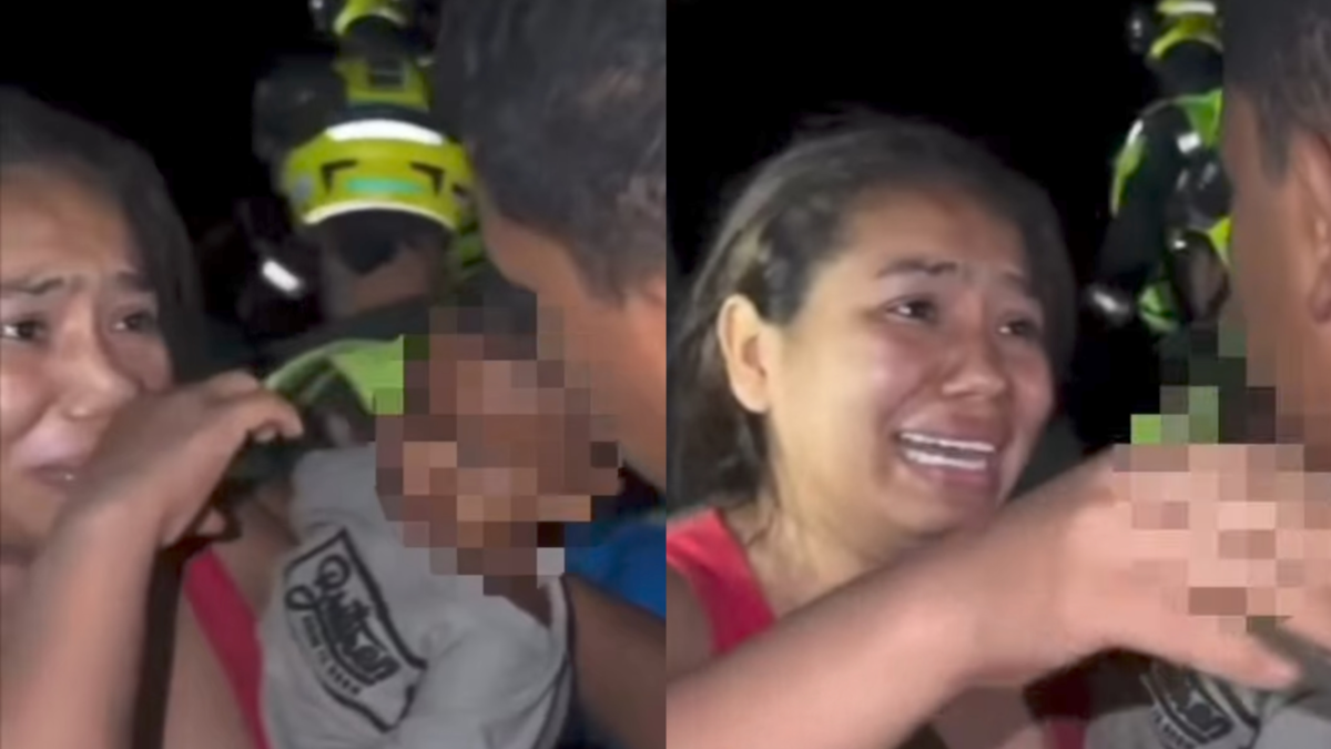 También ayudaron a su gato y a su caballo.

 – Desde dentro