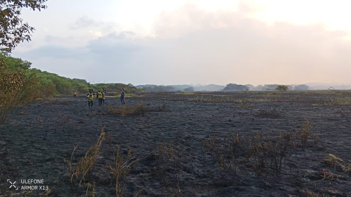 Se reaviva la preocupación por el medio ambiente.

 – Desde dentro