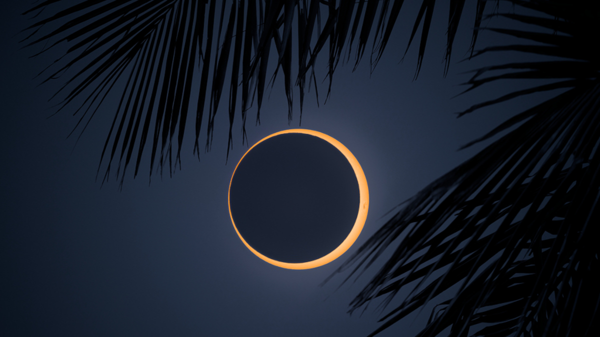 hora, duración y países donde se podrá ver, según la NASA

 – Desde dentro