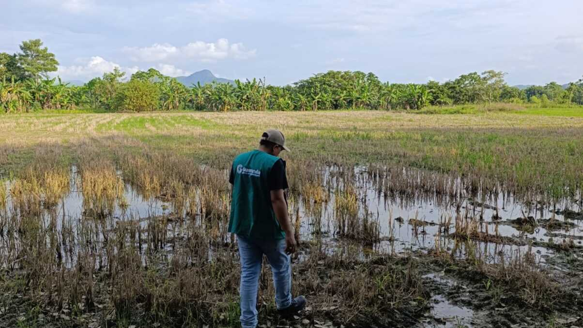 “Llevamos 4 años inundados” – Lucy García, Gobernadora de Sucre

 – Desde dentro
