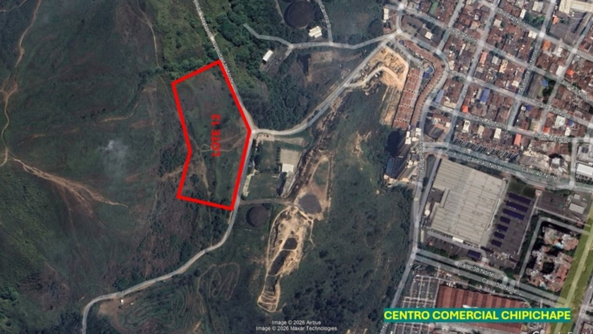 ¿Qué hay detrás de las disputas por tierras en el casco urbano de Cali, cerca del centro comercial y al lado de la vía a Golondrinas?

 – Desde dentro