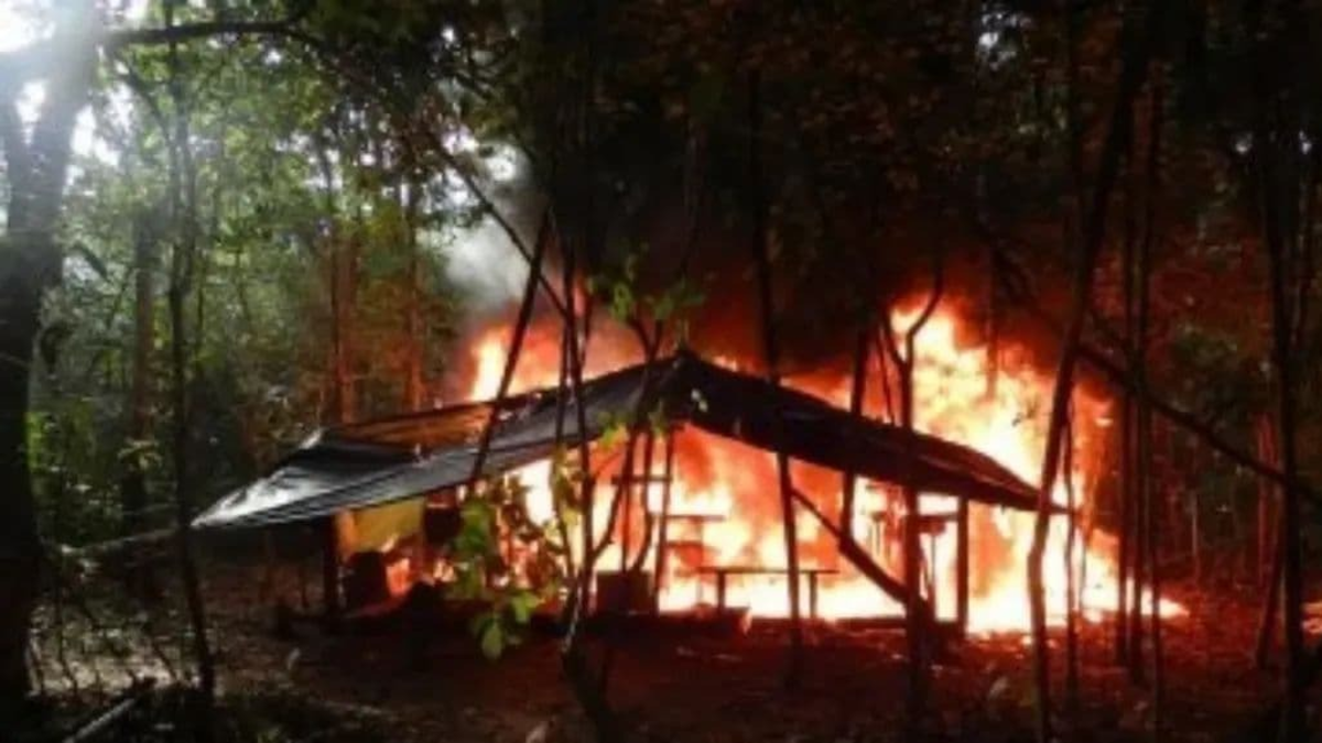 manipularon productos químicos para procesar alcaloides

 – Desde dentro