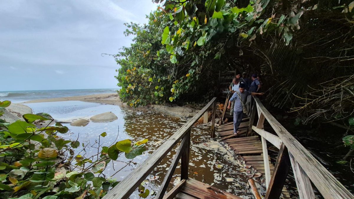 El cierre de la entrada principal sorprende a turistas y operadores.

 – Desde dentro