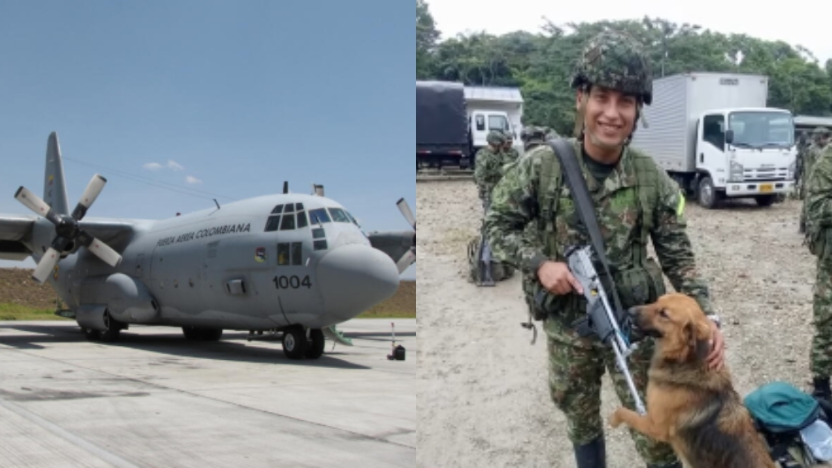 Al hombre le impidieron subir al avión por culpa de su perro

 – Desde dentro