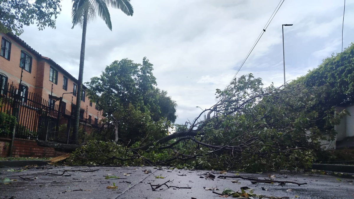 Emergencia por tormenta en Cali

 – Desde dentro