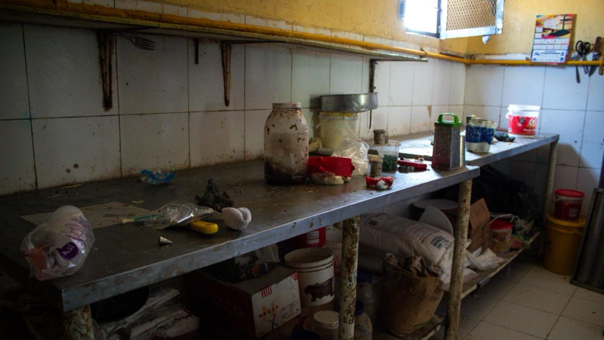 Autoridades cierran panadería en Soledad, Atlántico tras hallar cucarachas y gato en zona de producción

 – Desde dentro