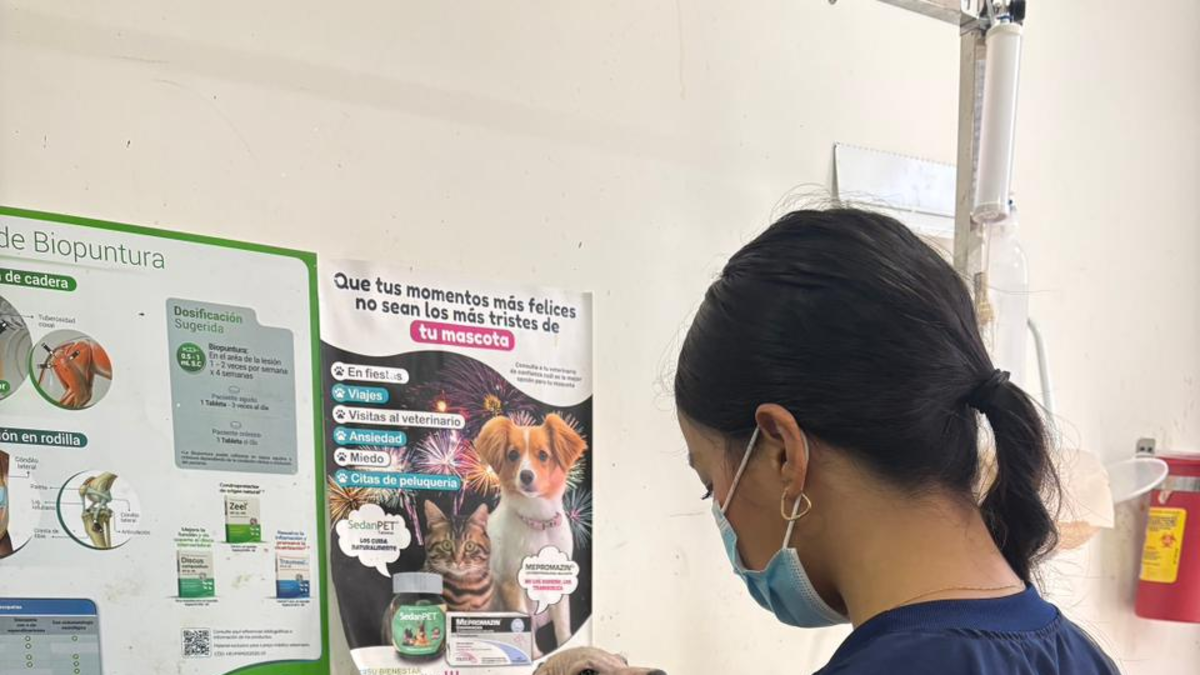 El condado afirma que la intervención de vivienda demuestra condiciones insalubres y abuso

 – Desde dentro