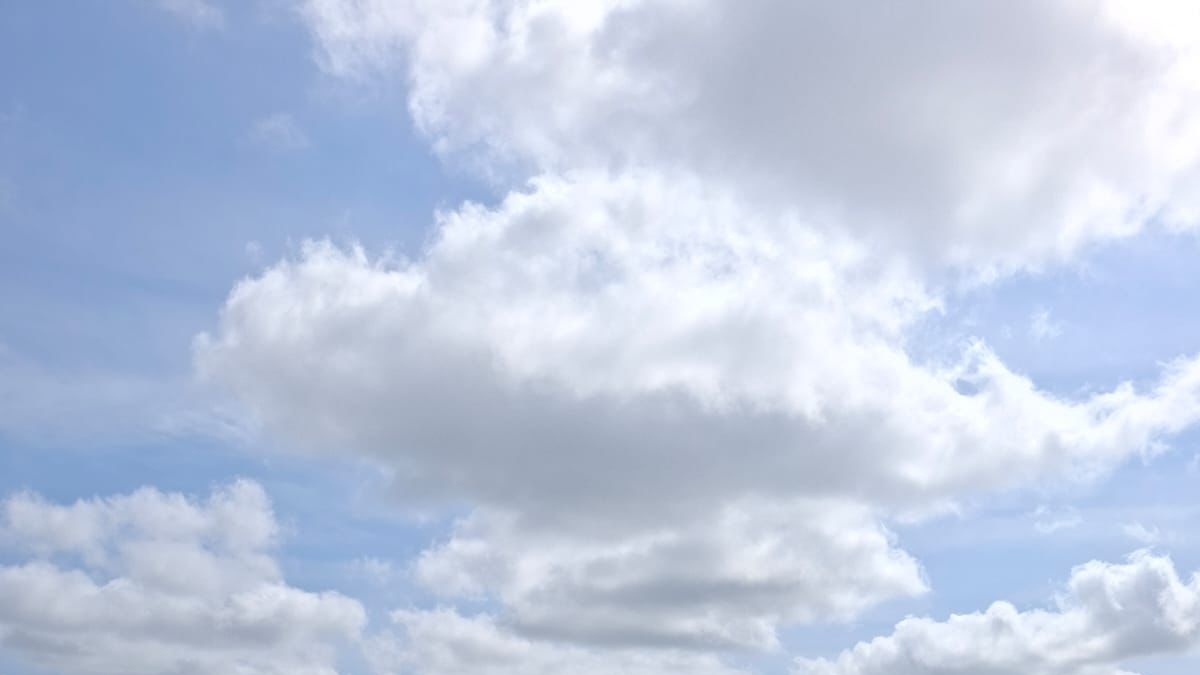 Jornadas de limpieza intentan prevenir peligros aéreos en Cortissoz; Retiran toneladas de basura de zonas cercanas al aeropuerto

 – Desde dentro