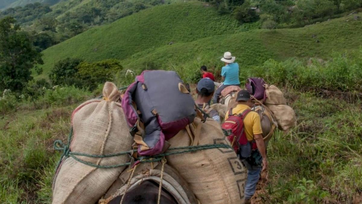 En las cuatro comunas de Nariño ni siquiera la Semana Santa se puede celebrar en paz; Se registró el desplazamiento de 81 familias indígenas y campesinas

 – Desde dentro