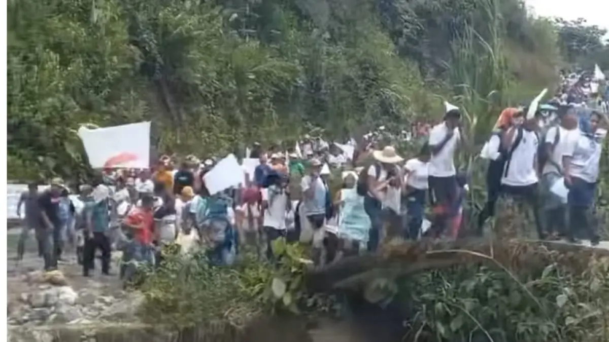 Más de 200 familias viven un vía crucis tras ser desplazadas por grupos armados que desafían las rutas de la droga en Nariño

 – Desde dentro