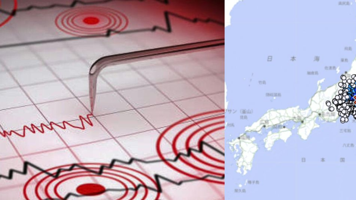 no hay alerta de tsunami

 – Desde dentro