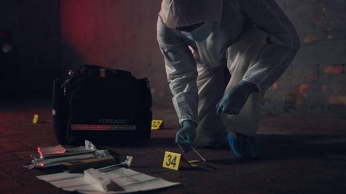 Un adulto mayor sería el responsable de asesinar a su pareja sentimental en un hotel de Medellín; el hombre intentó suicidarse

 – Desde dentro