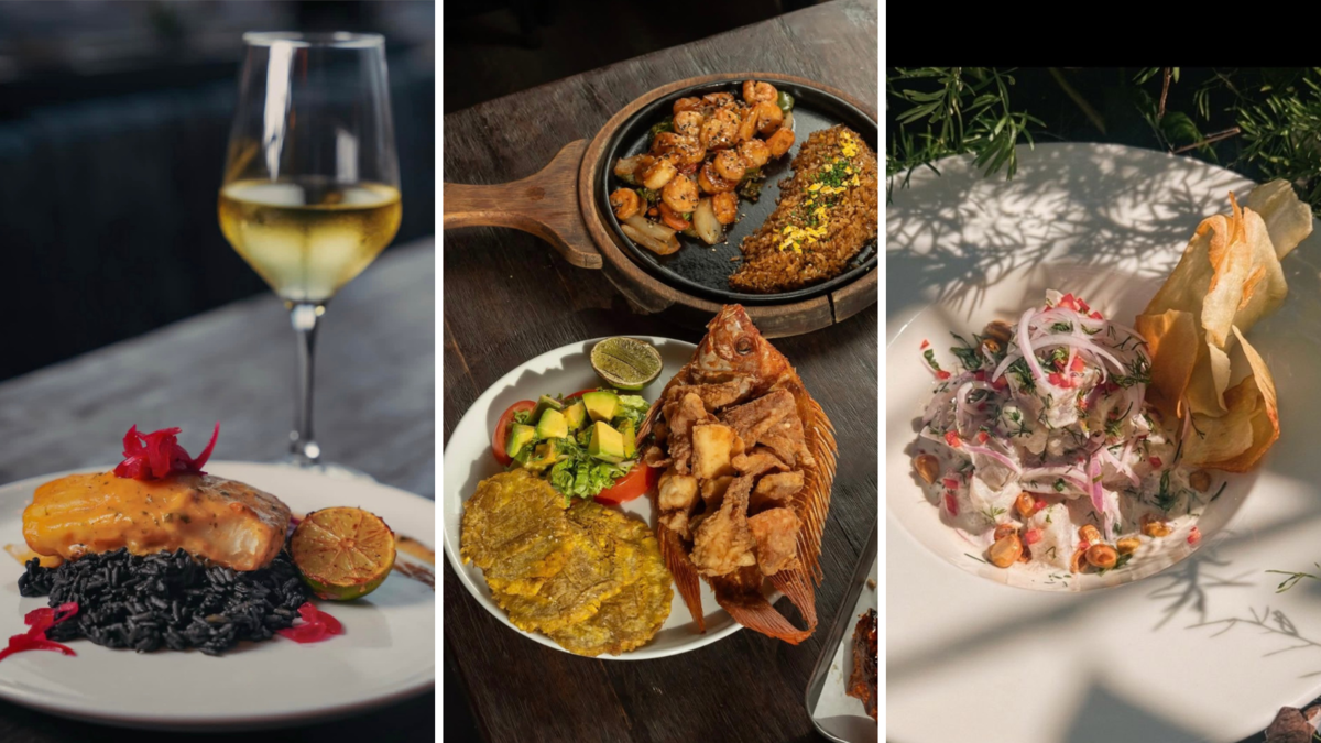 un nuevo establecimiento gastronómico y cultural que pretende atraer turismo y ampliar la oferta en Cartagena

 – Desde dentro