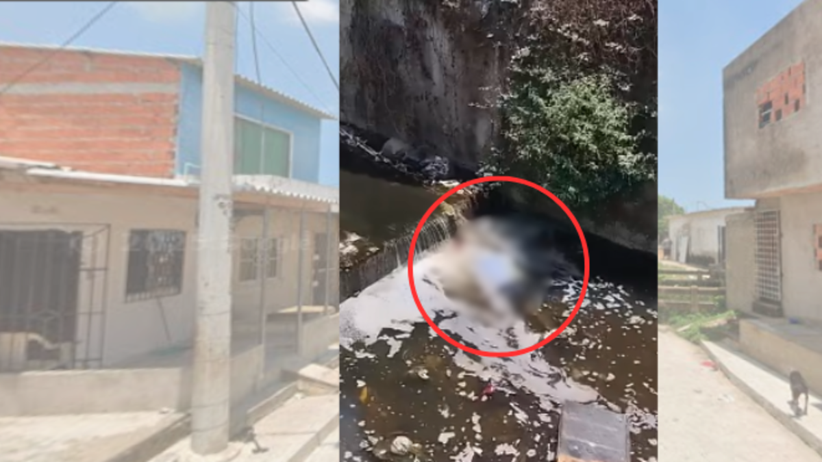 Se conoce conmoción tras hallazgo de cuerpo flotando en un arroyo entre La Pradera y Los Olivos

 – Desde dentro