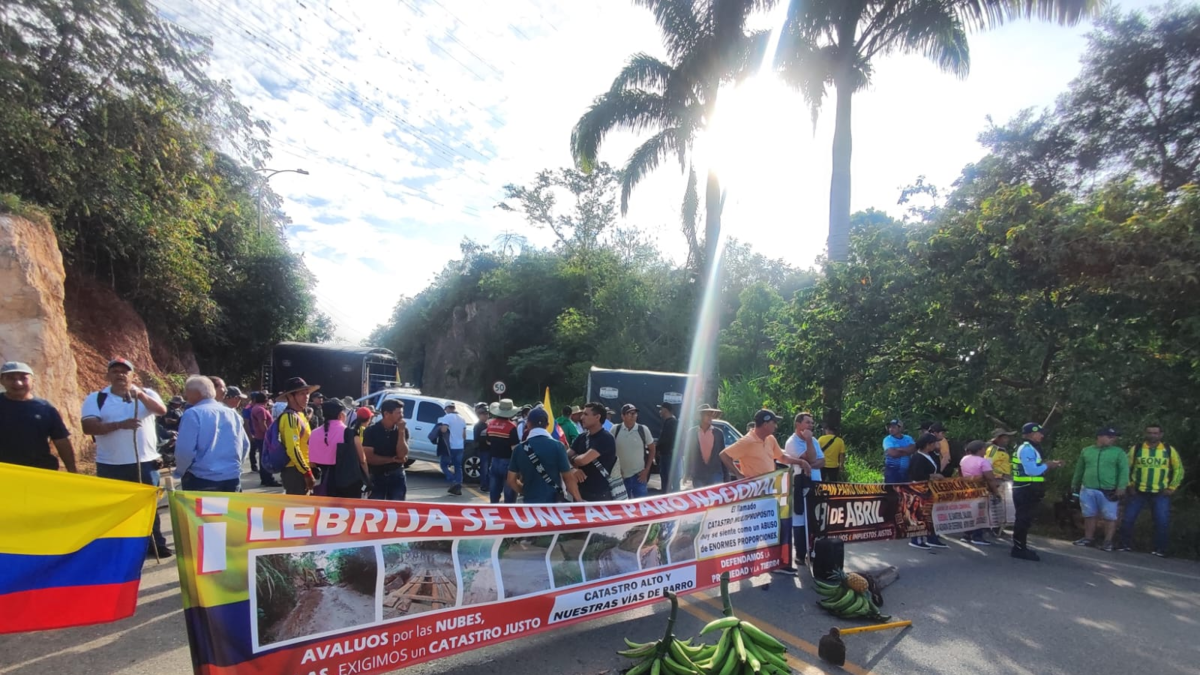 bloqueos hacia los aeropuertos de Bogotá y Palonegro; así son las carreteras

 – Desde dentro